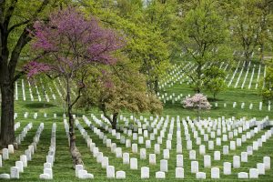 Arlington-Cemetery-Van-Wersch-Writes